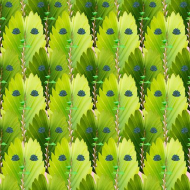 Tropikal egzotik bitki yaprağı, tekstil ve kumaş tasarımı için pürüzsüz arkaplan