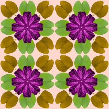 Doğa konsepti için renkli yapraklar, tropikal egzotik bitki yaprağı, tekstil ve kumaş tasarımı için pürüzsüz arkaplan