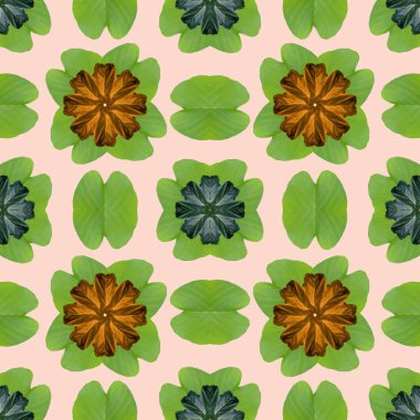 Doğa konsepti için renkli yapraklar, tropikal egzotik bitki yaprağı, tekstil ve kumaş tasarımı için pürüzsüz arkaplan