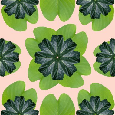 Tropikal egzotik bitki yaprağı, tekstil ve kumaş tasarımı için pürüzsüz arkaplan