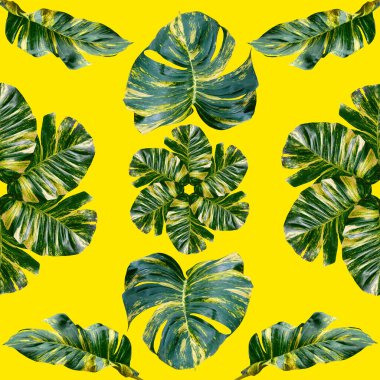 Tropikal egzotik bitki yaprağı, tekstil ve kumaş tasarımı için kusursuz arkaplan, sarı arka planda izole edilmiş.