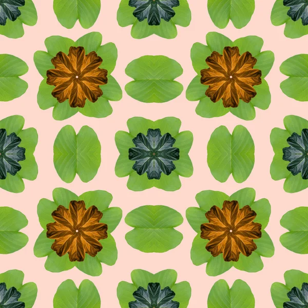 Doğa konsepti için renkli yapraklar, tropikal egzotik bitki yaprağı, tekstil ve kumaş tasarımı için pürüzsüz arkaplan