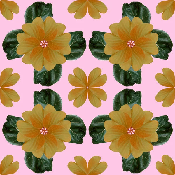 Kolorowe Liście Wzór Dla Koncepcji Przyrody Tropikalny Egzotyczny Liść Roślin — Zdjęcie stockowe