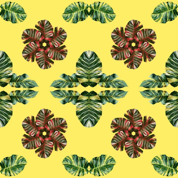 Красочный Узор Листьев Концепции Природы Тропический Экзотический Лист Растений Бесшовный — стоковое фото
