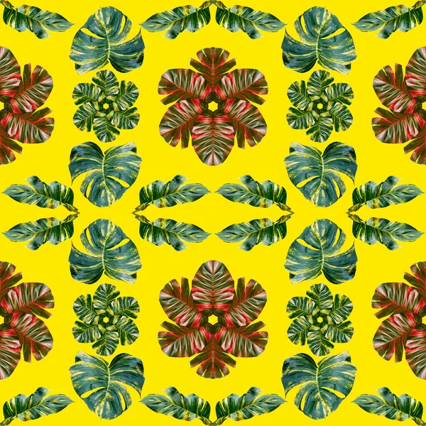 Kleurrijke Bladeren Patroon Voor Natuur Concept Tropische Exotische Plant Blad — Stockfoto