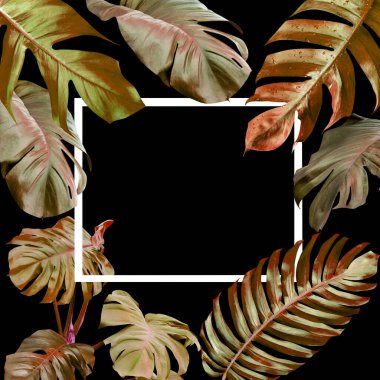 Kuru canavar yaprakları doğa konsepti için desen, siyah arka planda tropikal yaprak