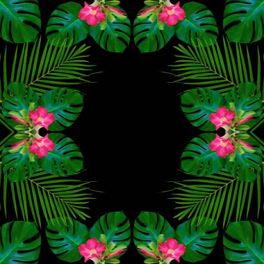 Doğa konsepti için yeşil canavar yaprakları, tropikal yaprak desenli arka plan