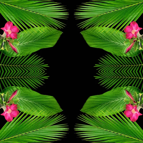 Doğa Konsepti Için Yeşil Palmiye Yaprakları Deseni Tropikal Yaprak Desenli — Stok fotoğraf
