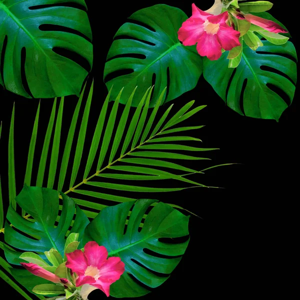 为自然概念而设计的绿叶模式 热带叶纹理背景 — 图库照片