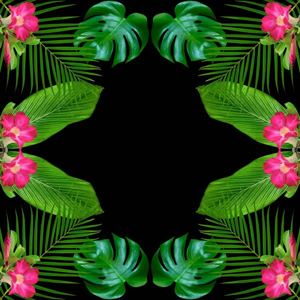 Zelená Monstera Listy Vzor Pro Koncepci Přírody Tropické Listy Texturované — Stock fotografie