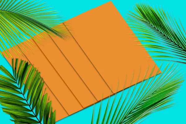 Zöld Pálma Levelek Minta Természet Koncepció Trópusi Levél Narancssárga Varangy — Stock Fotó
