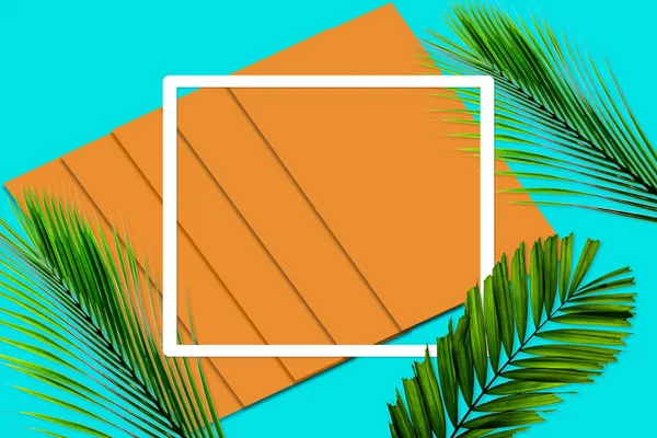 Зеленый Рисунок Пальмовых Листьев Концепции Природы Тропический Лист Оранжевом Бирюзовом — стоковое фото