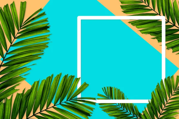 Groene Palm Bladeren Patroon Voor Natuur Concept Tropisch Blad Oranje — Stockfoto