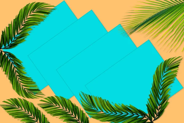 Doğa Konsepti Için Yeşil Palmiye Yaprakları Turuncu Deniz Mavisi Arka — Stok fotoğraf