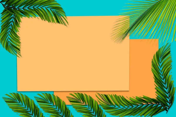 Зеленый Рисунок Пальмовых Листьев Концепции Природы Тропический Лист Оранжевом Бирюзовом — стоковое фото