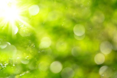 Doğal yeşil bokeh soyut arkaplan, bulanık doku