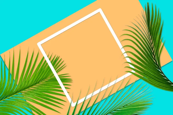 Green Palm Leaves Pattern Nature Concept Tropical Leaf Orange Teal — Stock Photo, Image