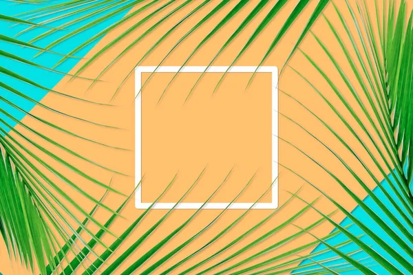 Візерунок Зеленого Листя Долоні Концепції Природи Тропічний Лист Помаранчевому Сльозогінному — стокове фото