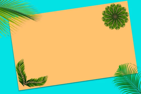 Візерунок Зеленого Листя Долоні Концепції Природи Тропічний Лист Помаранчевому Сльозогінному — стокове фото