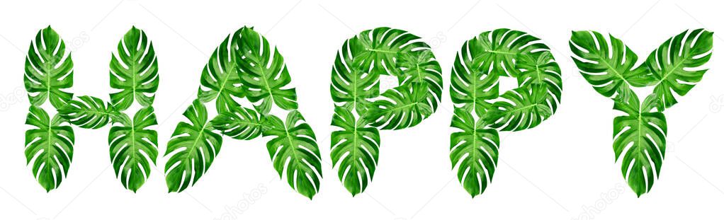 word happy spelled with leaf monstera isolated on white background