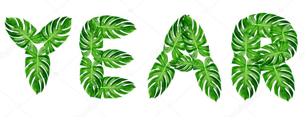 word year spelled with leaf monstera isolated on white background
