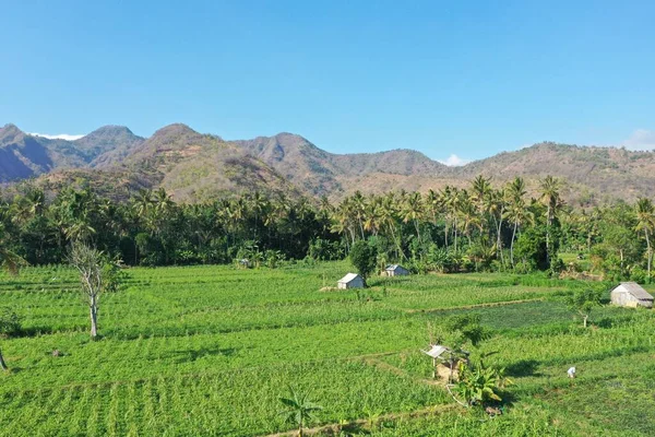 Amed Bali Endonezya 'daki dağ ve manzara