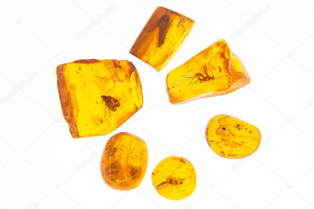 Beautiful group of big pieces of drops of amber exhibited in Palanga Amber Museum in Lithuania, close up with white background 
