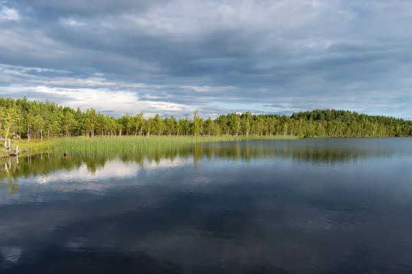 Latgale, Letonya, Avrupa 'da ahşap iskeleli güzel göl ve çam ağacı ormanları