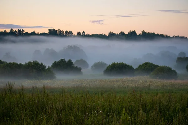 Wonderful Mist Fog Summer Evening Morning Sunset Sunrise Meadow Landscape — Stock Photo, Image