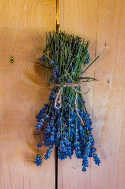 Güzel bir demet ya da ahşap duvarda asılı duran lavanta çiçekleri