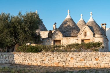 Trulli grubu, geleneksel eski evler ve Puglia, İtalya 'da zeytin ağaçlı eski taş duvarlar.