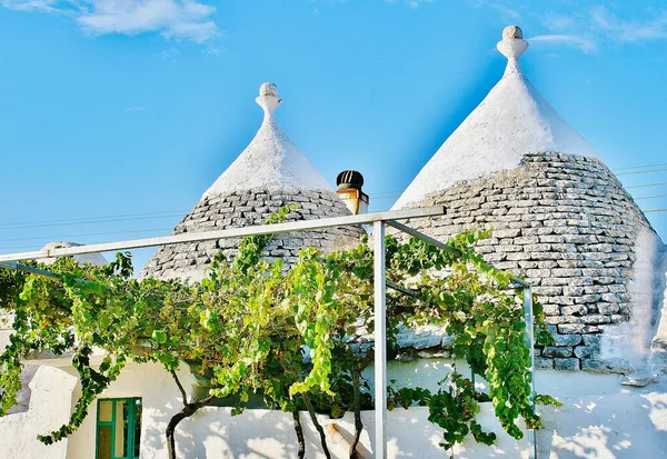 Trulli, geleneksel Apulian kuru taş kulübesi Itria Vadisi, Puglia, İtalya 'da koni çatısı olan, kırsalda üzüm bağı olan eski evler. 