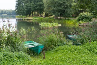 Rüzgarda sazlıklar, nilüferler, yeşil doğa, ahşap rıhtım ve ahşap tekneler.