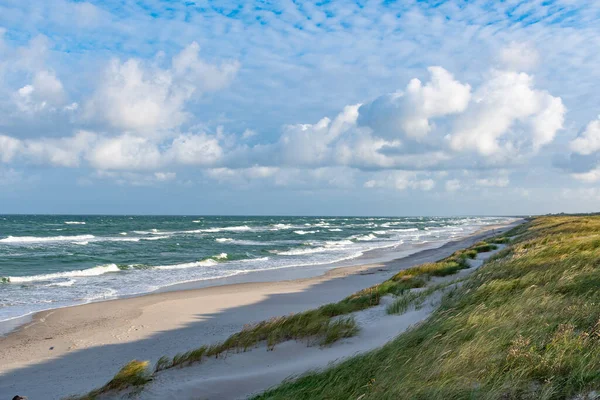 Ruwe Zee Met Golven Herfst Winter Zandstrand Duinen Met Riet — Stockfoto