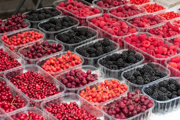 Red Black Fresh Healthy Berries Cranberries Lingonberries Raspberries Blackberries Small — Stock Photo, Image