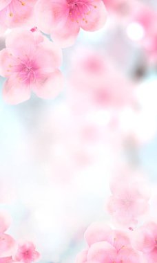 dikey Japon Baharı Sakura kiraz çiçekleri 240x400 boyunda web sitesi şişman gökdelen afişi. 3D İllüstrasyon Klip-Sanat Çiçek bahar taçyaprağı tasarım başlığı. boşluğu pembe, beyaz, mavi ile kopyala
