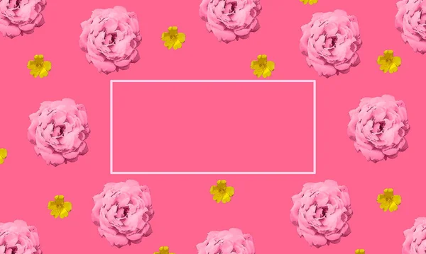 Floral Background Pink Roses Yellow Portulaca Flowers Isolated Pink Background — Stock Photo, Image