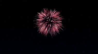 4 set kırmızı ve beyaz hareketli havai fişek patlaması ve parıldayan Kanada Günü 'nü ve hareket eden yıldızlarla dolu bayrak yapraklarını gösteren yıldız patlaması..