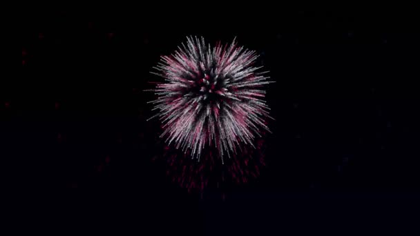 Animation Roter Weißer Und Blauer Feuerwerkskörper Und Sternenexplosionen Vor Nächtlichem — Stockvideo