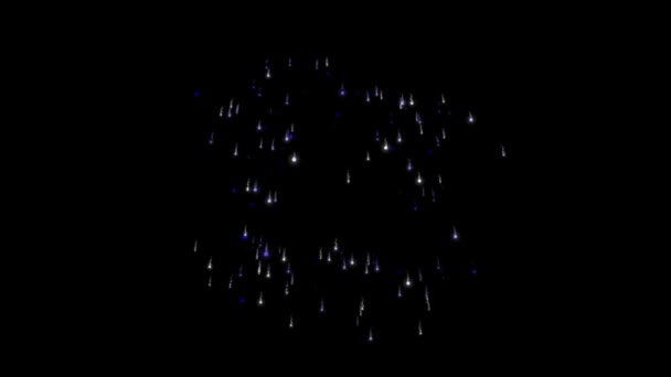 Анімація Сяючих Блискучих Червоних Білих Синіх Феєрверків Вибухає Чорному Тлі — стокове відео