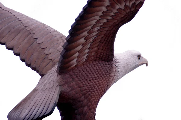 Het Beroemde Eagle Standbeeld Langkawi Maleisië — Stockfoto