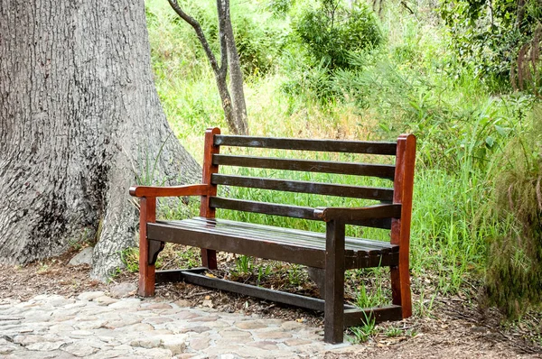 Kirstenbosch Botanik Bahçesinde yoldan geçeni bekleyen ahşap bir bank..