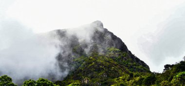 Gizem, cazibe ve geleneklerle çevrili Machu Pichu, İnka İmparatorluğu 'nun en ünlü sembolüdür. 1911 'de kaşif Hiram Bingham tarafından keşfedilen Machu Pichu İnkaların evren vizyonuna ymbolik olarak bağlı bir şehirdi.. 