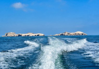 Ballestas Adaları büyük oranda kaya oluşumlarından oluşur, dalgalar ve rüzgarlar tarafından aşınır, şaşırtıcı şekillerde. Adaların koruma statüsü var çünkü kuş ve memeli ekosistemi korunmak zorunda ve turistler buradan geçiyor. 