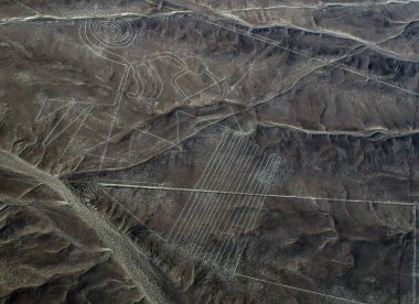 Nazca çizgisinin üzerindeki çarpıcı görüntüler bazen Nasca, Peru 'nun güney kıyısında, Nazca kültüründen türetilmiş bir kasaba ve vadi sistemidir.