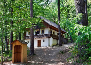 Calea Rinari 'de Dumbrava Sibiului' de bulunan Sibiu 'daki Geleneksel Popüler Medeniyet Müzesi' ndeki geleneksel Romen binası ASTRA.