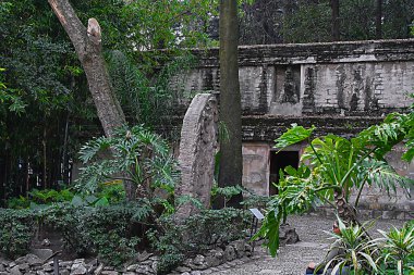 Sabahleyin, şehrin kalıntıları arasında.