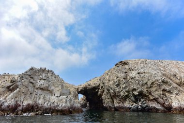 Pasifik Okyanusu manzarası, dalgalar ve rüzgarlar tarafından aşınmış kaya oluşumlarından oluşmaktadır. Şaşırtıcı şekillerde. Adaların korunma statüsü vardır çünkü kuş ve memeli nüfusunun ekosistemi korunmalıdır.