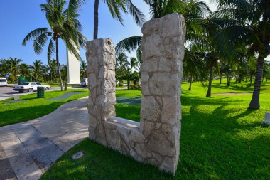 Palmiye, Arecaceae familyasından bir ağaçtır ve genellikle tropik bölgelerde yetişir..