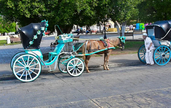 Carruaje Ocio Izamal Especialmente Diseñado Para Transporte Pasajeros Con Cuatro —  Fotos de Stock